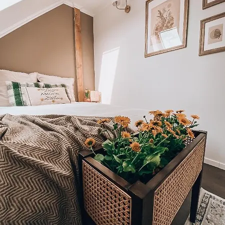 Holiday home Sielski Dom Z Basenem W Rydzewie Rydzewo
